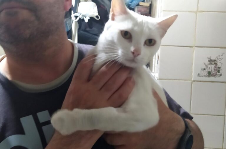 multimedia-foto73071-286-1