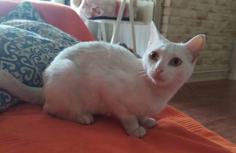 multimedia-foto73073-286-1