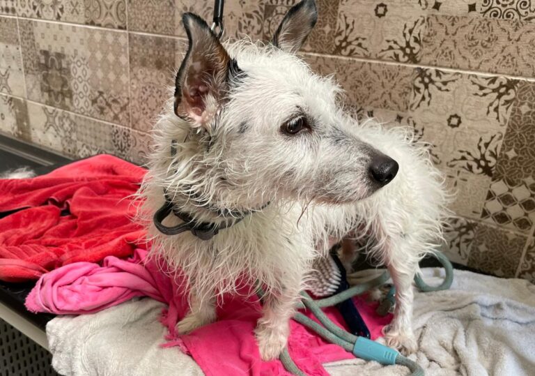 multimedia-foto73077-704-1