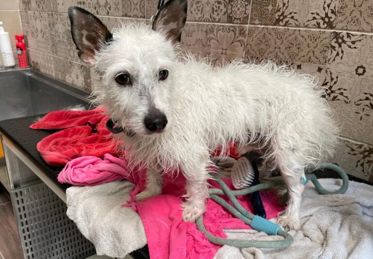 multimedia-foto73078-704-1