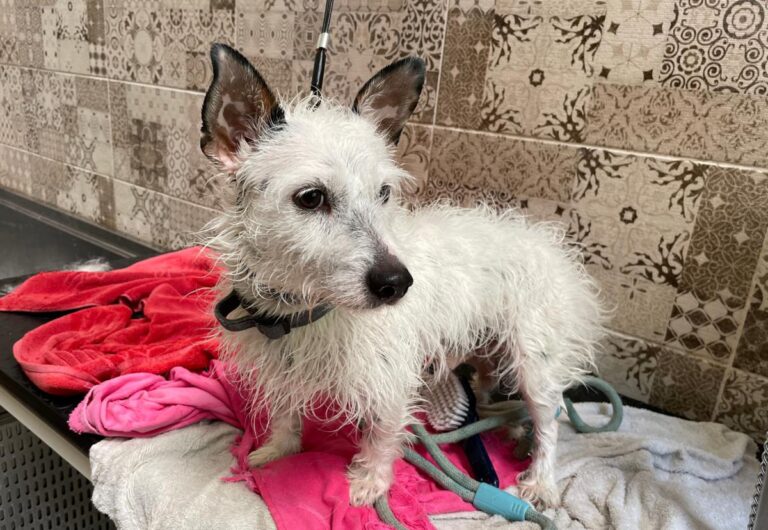 multimedia-foto73079-704-1