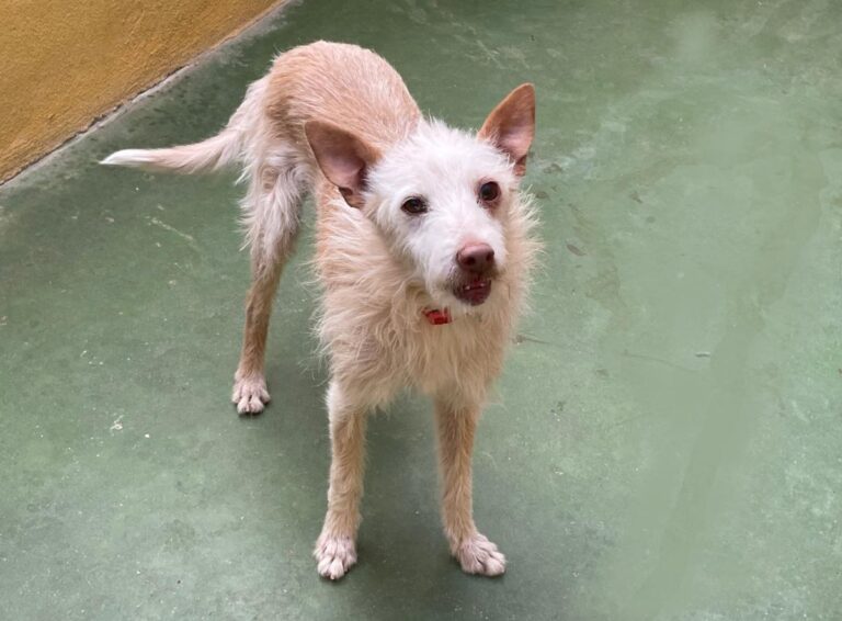 multimedia-foto73187-475-1