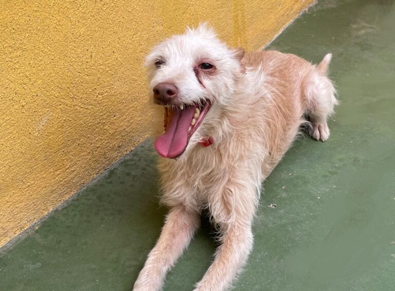 multimedia-foto73189-475-1