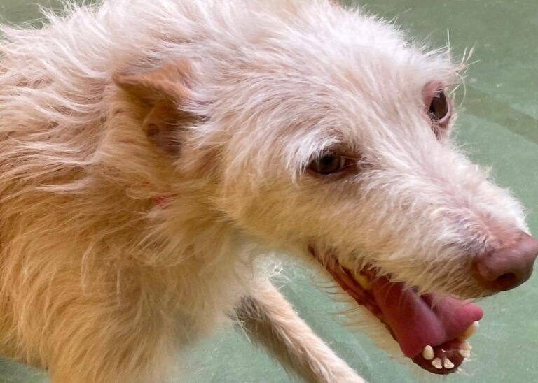 multimedia-foto73190-475-1