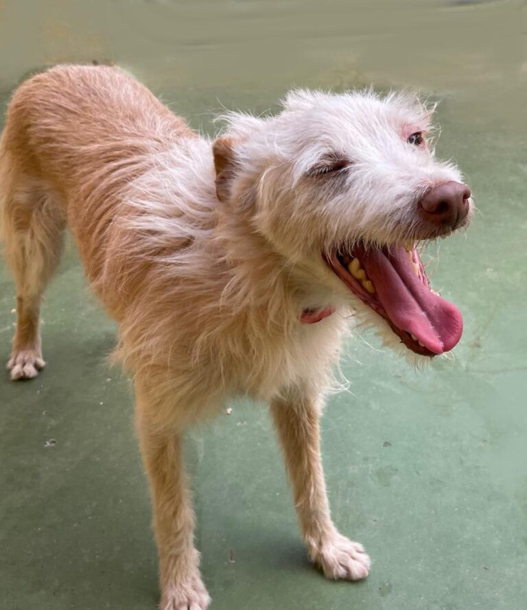 multimedia-foto73191-475-1