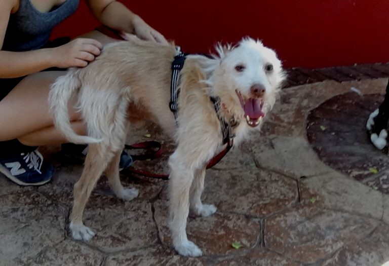 multimedia-foto73199-780-1