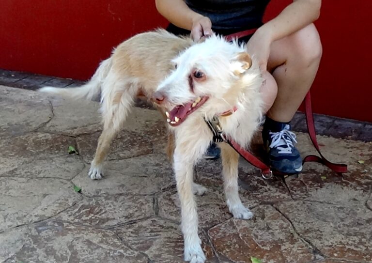 multimedia-foto73200-780-1