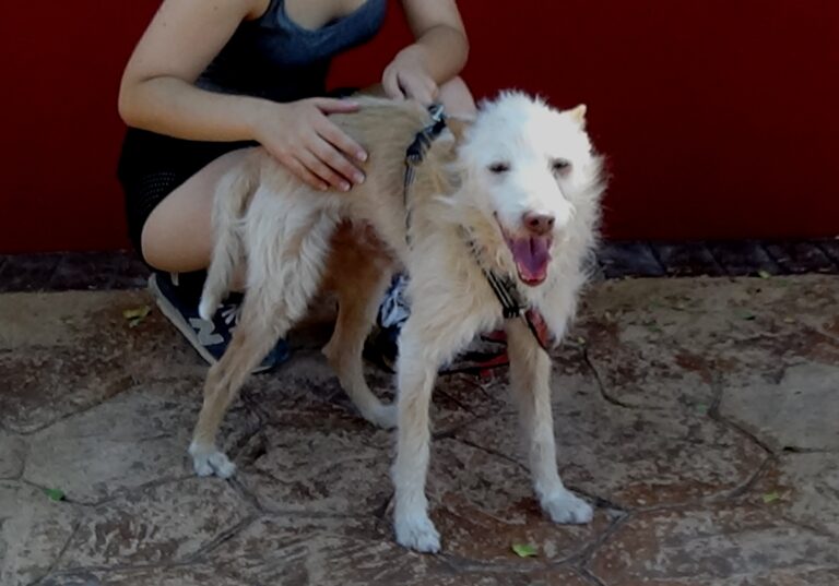 multimedia-foto73201-780-1