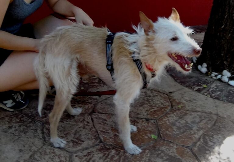 multimedia-foto73207-898-1