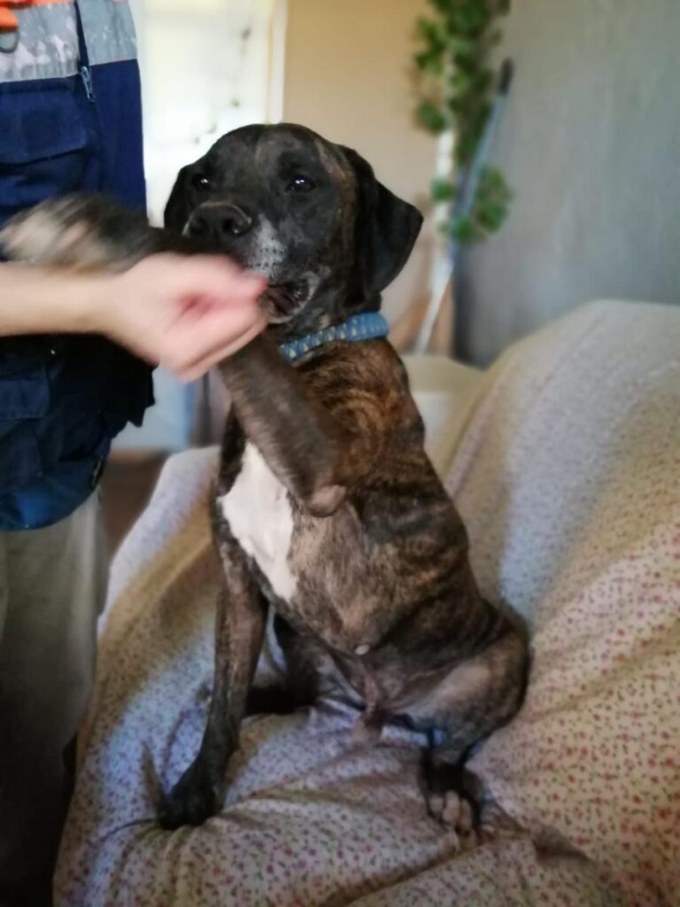 multimedia-foto73220-232-1