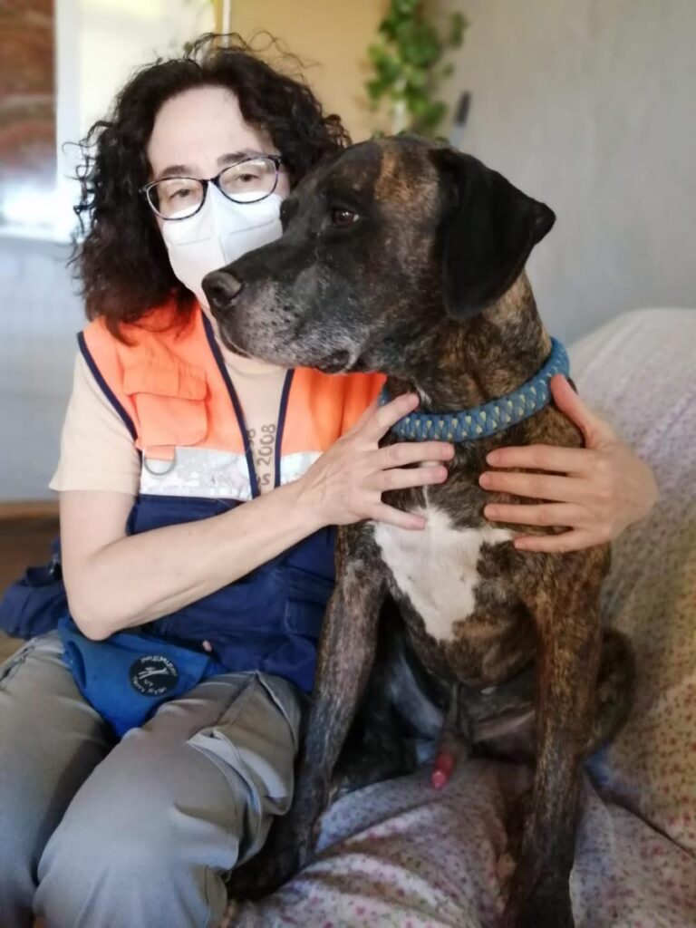 multimedia-foto73221-232-1