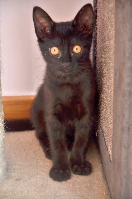 multimedia-foto73222-811-1