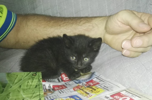 multimedia-foto73223-811-1