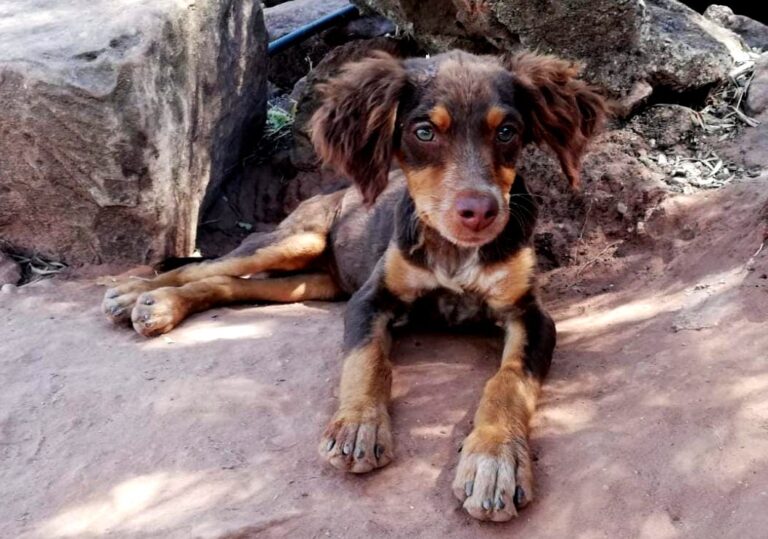 multimedia-foto73228-896-1