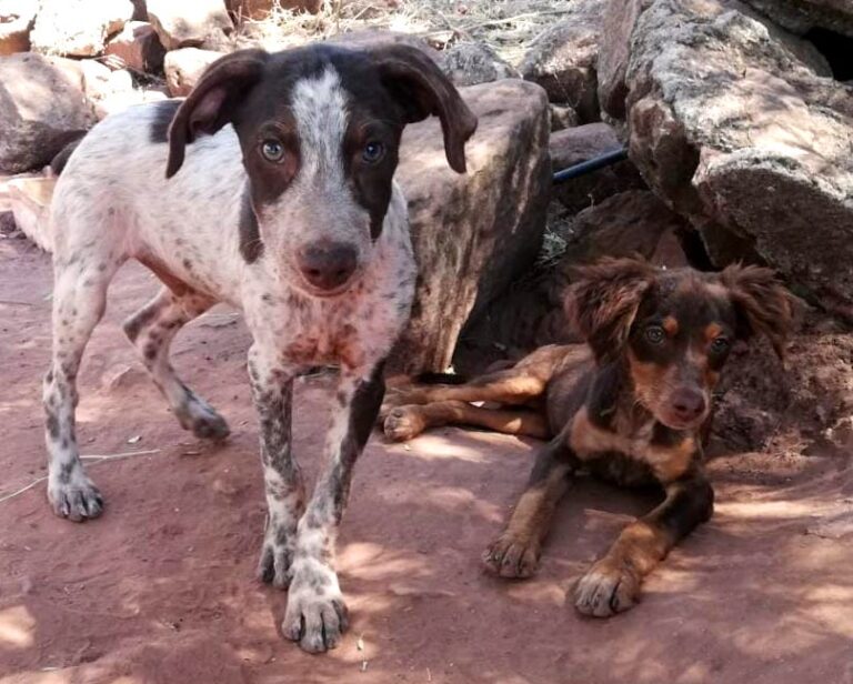 multimedia-foto73229-896-1