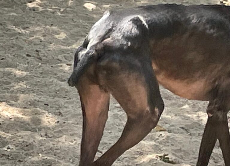 multimedia-foto73275-714-1