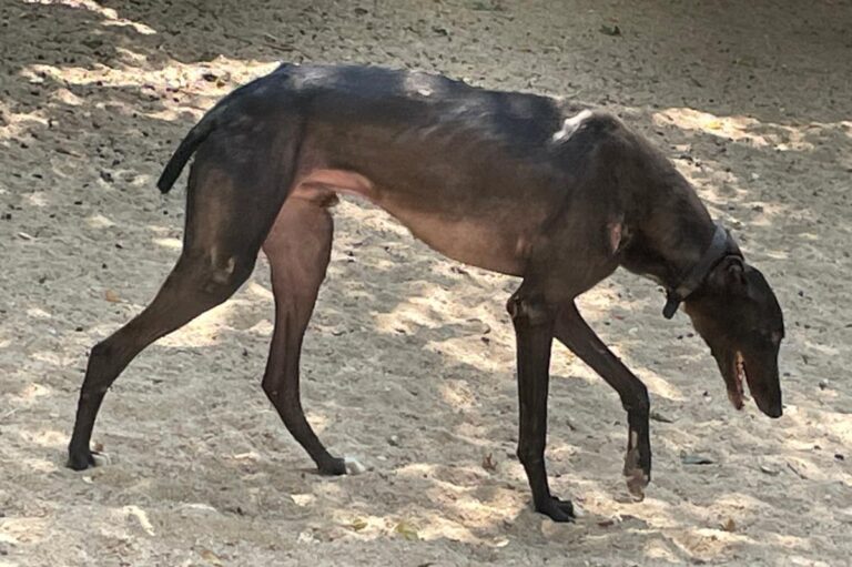 multimedia-foto73276-714-1