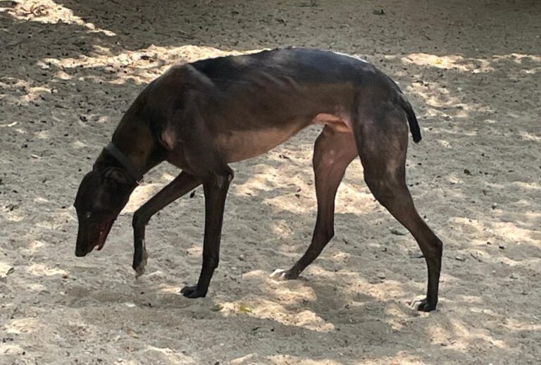 multimedia-foto73277-714-1