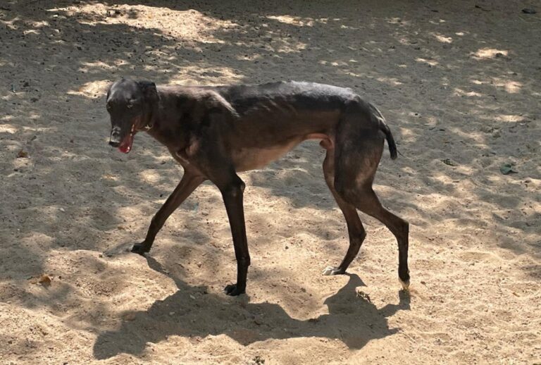 multimedia-foto73278-715-1