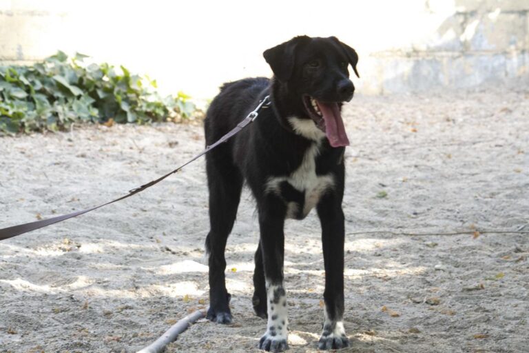 multimedia-foto73279-521-1