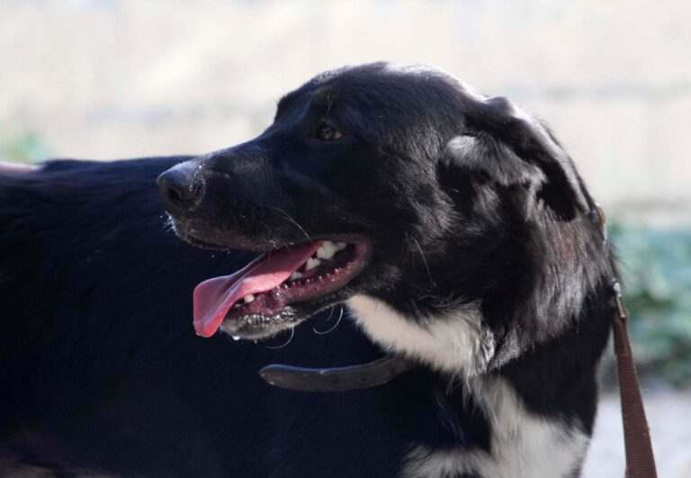 multimedia-foto73280-521-1