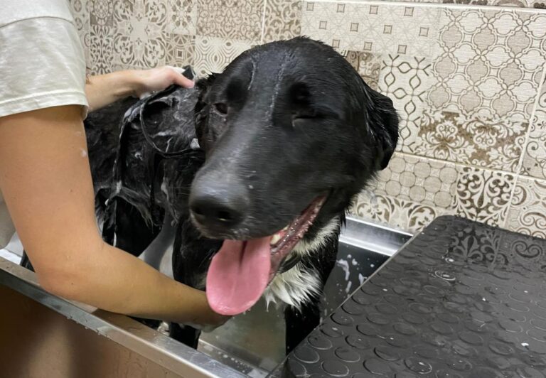 multimedia-foto73281-521-1