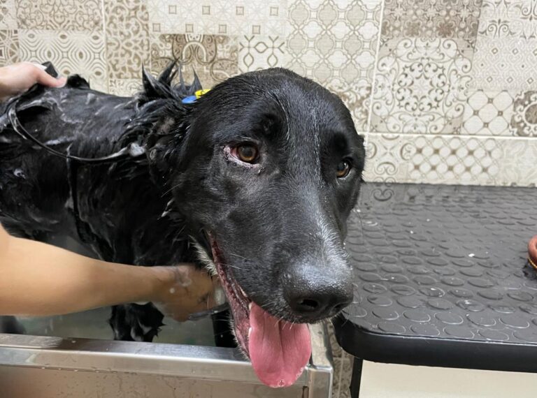 multimedia-foto73282-521-1