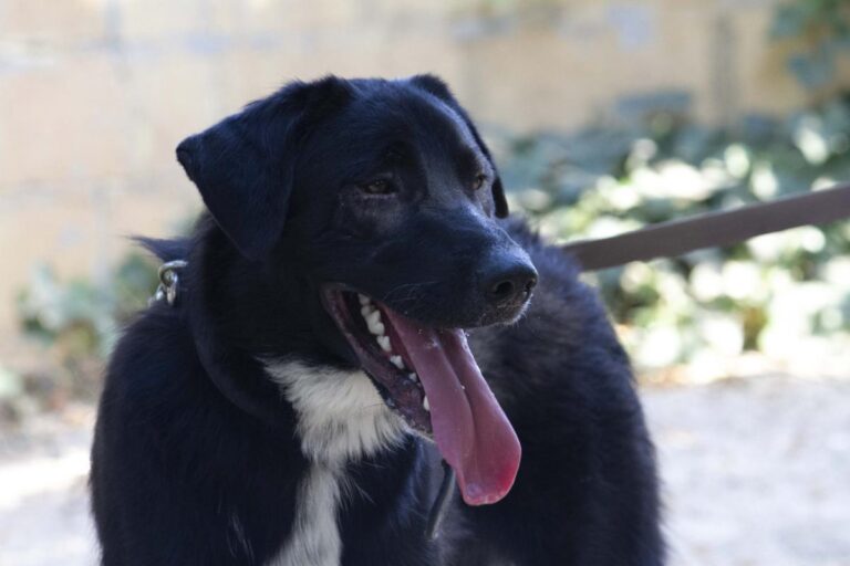 multimedia-foto73284-522-1