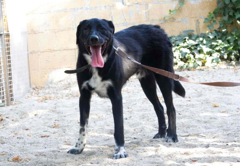 multimedia-foto73285-522-1