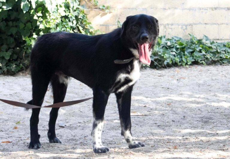 multimedia-foto73286-522-1