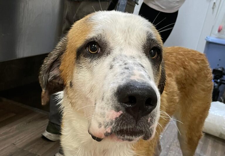 multimedia-foto73287-593-1