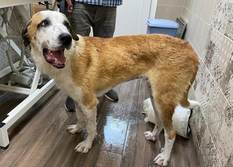 multimedia-foto73289-593-1