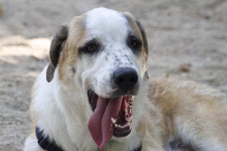 multimedia-foto73294-594-1