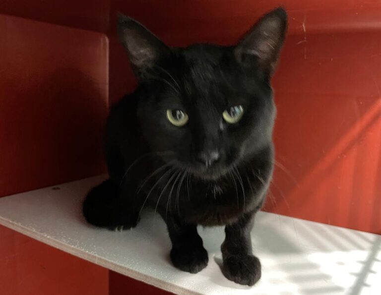 multimedia-foto73303-109-1