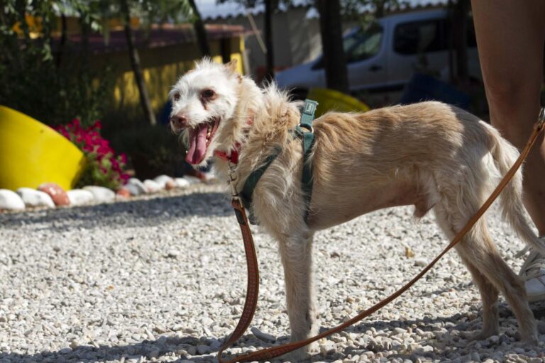 multimedia-foto73356-329-1