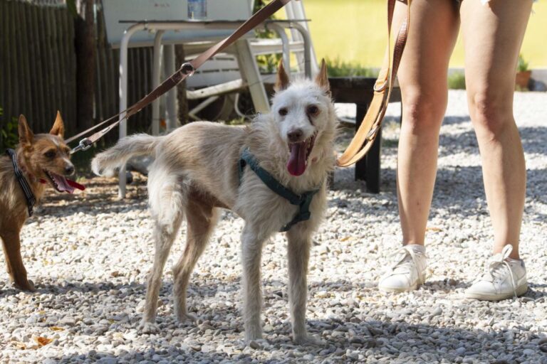 multimedia-foto73357-329-1