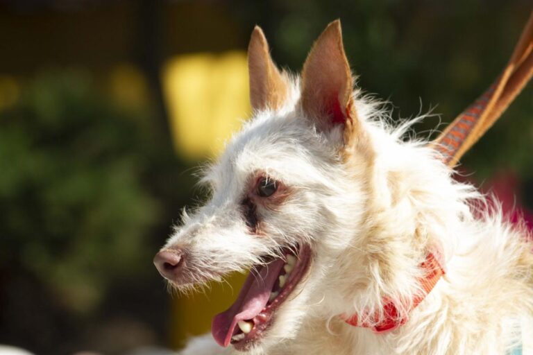 multimedia-foto73359-329-1