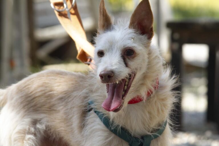 multimedia-foto73360-329-1