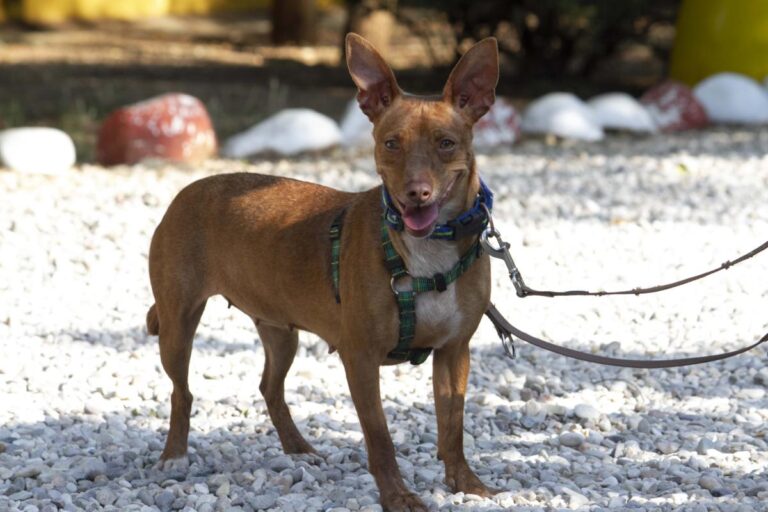 multimedia-foto73366-873-1