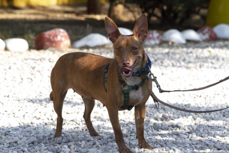 multimedia-foto73367-873-1