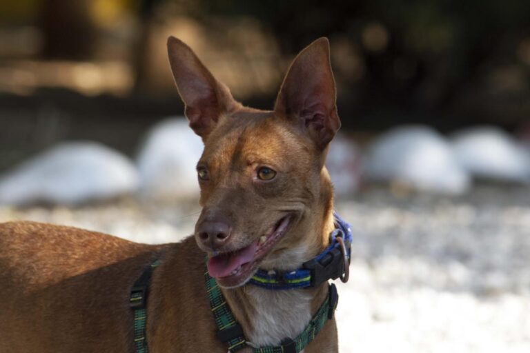 multimedia-foto73368-873-1