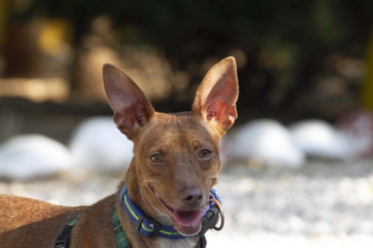 multimedia-foto73369-874-1