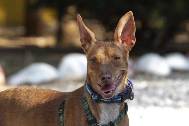 multimedia-foto73370-874-1