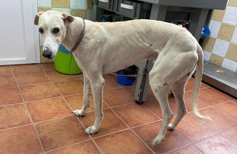 multimedia-foto73412-140-1