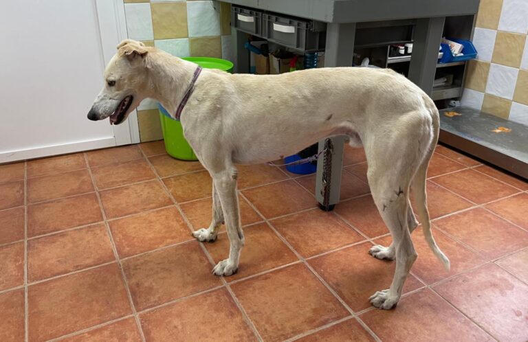 multimedia-foto73413-141-1