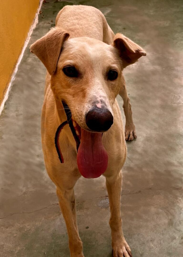 multimedia-foto73414-141-1