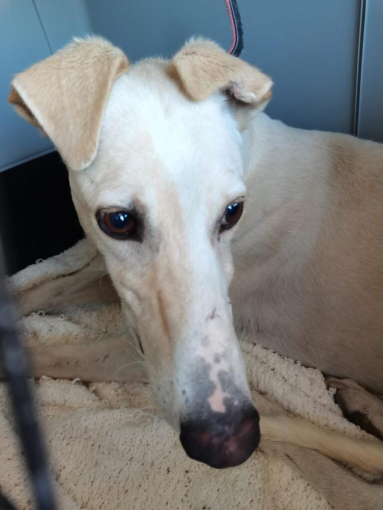 multimedia-foto73415-141-1