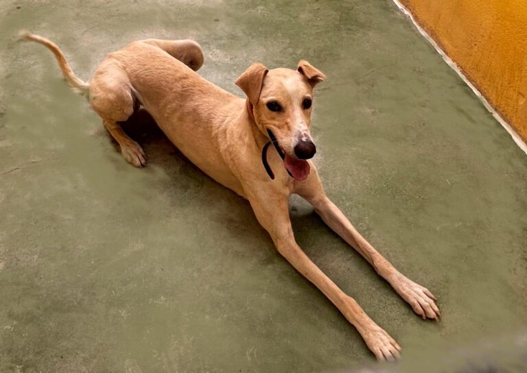 multimedia-foto73417-141-1