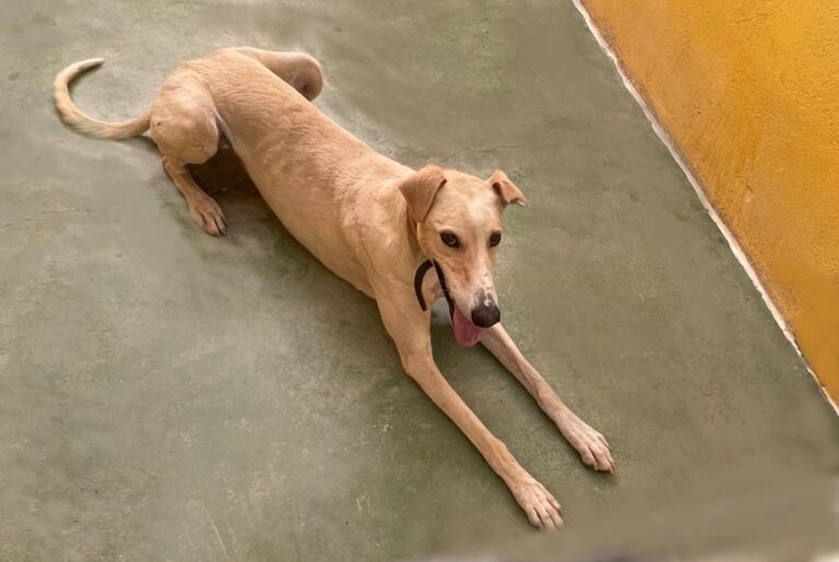 multimedia-foto73418-142-1