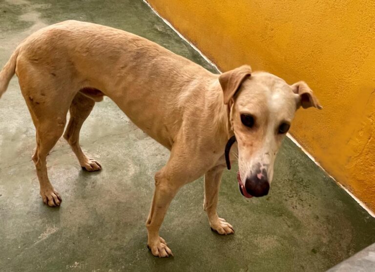 multimedia-foto73419-185-1